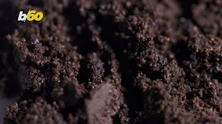 Coffee Grounds Could Soon Be Used to Build Stronger Buildings