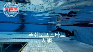 DNF 초급코스 Day-2/  노핀잠영 배우기 / DNF BEGINNER COURSE #프리다이빙 #freediving #고프로 #gopro #flyunderwater