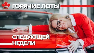 Авто из Канады в Украину, Германию, Латвию, Литву, Польшу, Испанию, Грузию, Румынию, Беларусь.