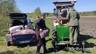 Посадка картоплі працівниками Виконкому Ратнівської селищної ради в рамках програми "Сади Перемоги"