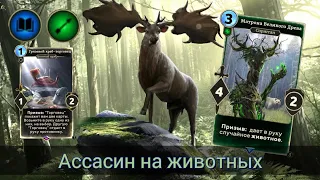 The Elder Scrolls Legends ( обзор Ассасина на животных )