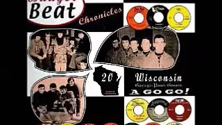 Various – Badger Beat Chronicles : 60's Wisconsin Garage Rock Punk Greats A Go Go! Music Compilation