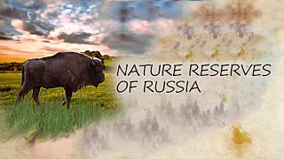 Prioksko-Terrasny Reserve. Nature reserves of Russia