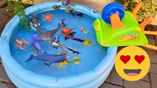 SEA ANIMALS FOR TODDLERS: TOYS, NAMES, VIDEOS - WHALE SHARK, HAMMERHEAD SHARK, SAILFISH, AND MORE