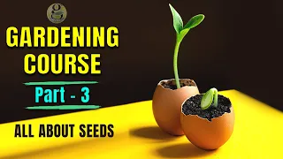 COMPLETE GARDENING COURSE FOR BEGINNERS – PART 3 | SEEDS GERMINATION TIPS