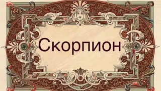 Скорпион ♏️ Таро-прогноз на неделю с 27 Марта-2 Апреля 2023 года..