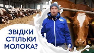 Звідки в Агромол стільки молока? Показуємо другу молочну ферму