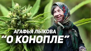Agafya Lykova 2019. A story about hemp (with English subtitles)