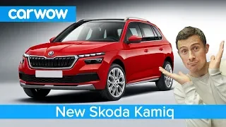 New Skoda Kamiq SUV 2020 - see why it's a better buy than a VW T-Roc!