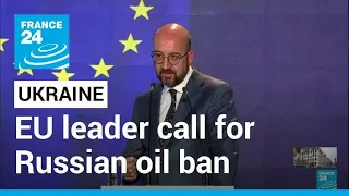 EU leader call for Russian oil ban in new set of sanctions • FRANCE 24 English