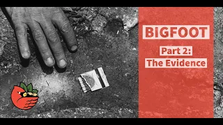 Bigfoot Part 2:  The Evidence