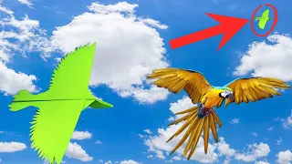 How to Make a Paper Airplane Bird Parrot | Origami Airplane