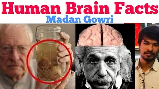 Human Brain Facts | Tamil | Madan Gowri | MG