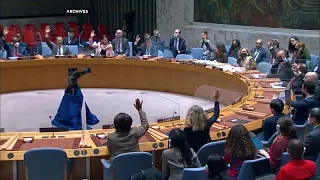 Mali: Russia blocks UN security council request for investigation into Moura massacre