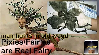 Pixies/Fairies are Real Fairy uk pixxie hunter