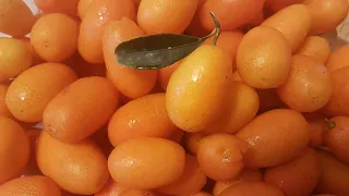 MARMELLATA DI MANDARINI CINESI (KUMQUAT)