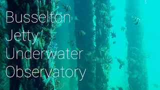 Horizontal views from Busselton Jetty Underwater Observatory