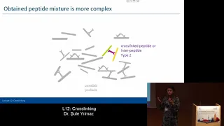 MQSS 2018 | L12: Crosslinking | Şule Yılmaz