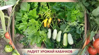 Ярковский район, подворье Староалександровка