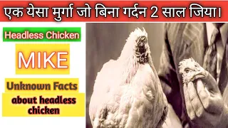 Intresting facts in the world|Unknown facts the headless chicken mike|riddle facts.