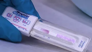 State lawmakers work to legalize fentanyl test strips in Texas