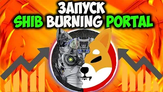 Команда Shiba Inu Офицально Запускает Shib Burning Portal - Заявление От Реоши