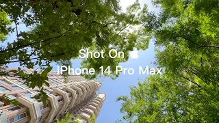 iPhone怎么拍摄HDR视频呢，其实一键就能开启，一起来看看效果吧｜How to shoot HDR Video on iPhone, Here It Is!