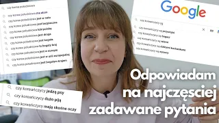 Wszystko co chcecie wiedzieć. Czy Koreańczycy są przystojni? Dużo piją? W Korei jest bezpiecznie?