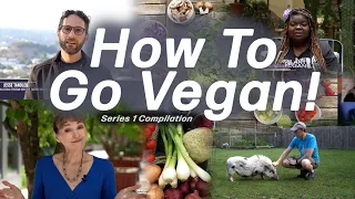 HOW TO GO VEGAN! Becoming Vegan! Series 1 Compilation 23 Vegan Perspectives