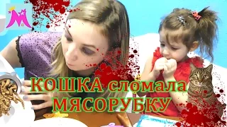 Сломалась! МЯСОРУБКА VS КОШКА. Что будет если сунуть кошку в мясорубку? Не повторяйте Принцесса Майя