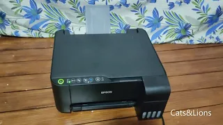 Epson Printer printing only Pink | How to fix and be able to print other colors
