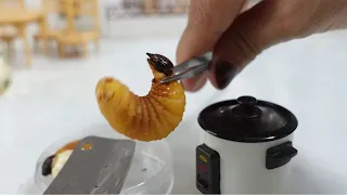 Scary food eating | Deep fried Coconut worm | Miniature cooking - 4K
