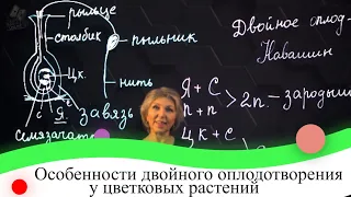 Особенности двойного оплодотворения у цветковых растений. 7 класс.