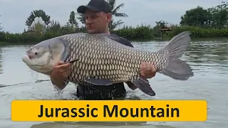 Jurassic Mountain Resort & Fishing Park Thailand. Fishing Thailand. Carp fishing. Arapaima Fishing