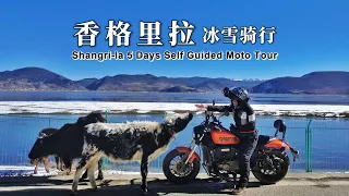【Yunnan】Riding on ice is SCARY! Winter ride from Lijiang to Shangri-la｜Must ride route G214