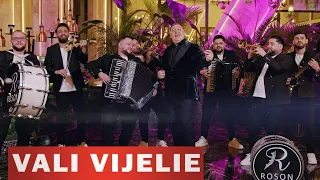 Vali Vijelie & Baboiash & Roson Band - Muzica nu te opri (Official Video) 2024