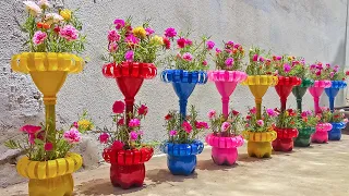 Recycle Plastic Bottles into Beautiful Moss Roses Flower Pots For Garden | Moss Rose from Cuttings