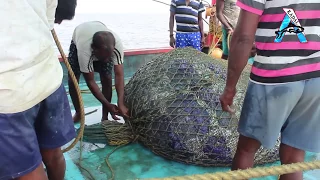 Hauling in a big catch on a freezing trawler in Icelandic sea