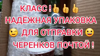 КАК НАДЁЖНО УПАКОВАТЬ ЧЕРЕНКИ ДЛЯ ОТПРАВКИ ПОЧТОЙ РОССИИ!?