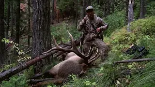 The Sound of September - Bow hunting elk Idaho and Montana