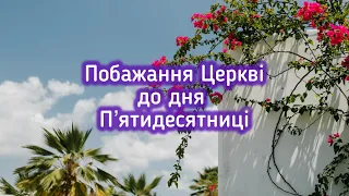 Прекрасне вітання з Трійцею🌿Привітання з днем Пʼятидесятниці. Побажання на Трійцю🌿@Катерина Бойко