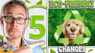 5 Eco-Friendly Changes Every Dog Owner Can Make (+ your dog will be healthier!)