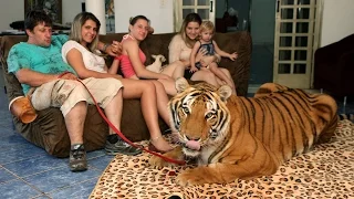 Living With Tigers: Family Share Home With Pet Tigers