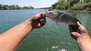 CA delta spring bass fishing