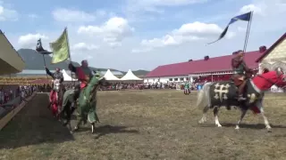 Алексей Сагал.  День открытых дверей 2016. Терский конный завод №169. Лошади арабской породы