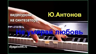 Видеоурок на синтезаторе Антонов Не умирай любовь