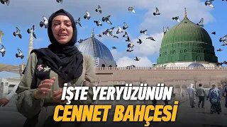 Medine'de Peygamber Efendimizin (S.A.V.) Mübarek Kabrini Ziyaret Ettik 🕋🤲 (Mescid-i Nebevi)