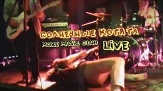 Солнечные Котята — Live @ More Music Club #2