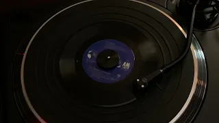 Janet Jackson - Escapade [45 RPM]