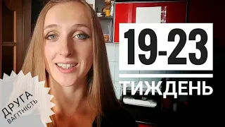 19-23 тиждень: облік, політ у літаку, застуда | Другий триместр другої вагітності